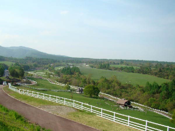 八ヶ岳 まきば公園 散歩道